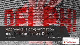 Jour 23 - Boîtes de dialogue « simples » en FMX et les fichiers binaires